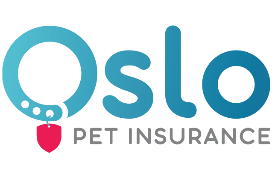 Oslo Insurance
